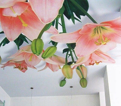 фотопечать цветы на бесшовном потолке